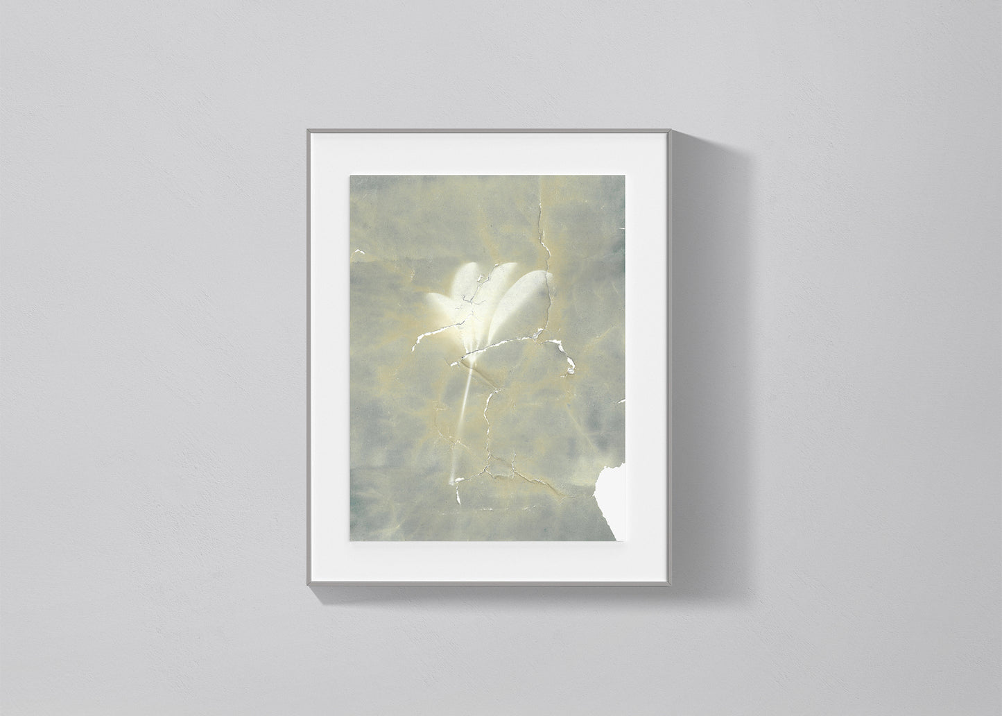 Natural Record - Time #3