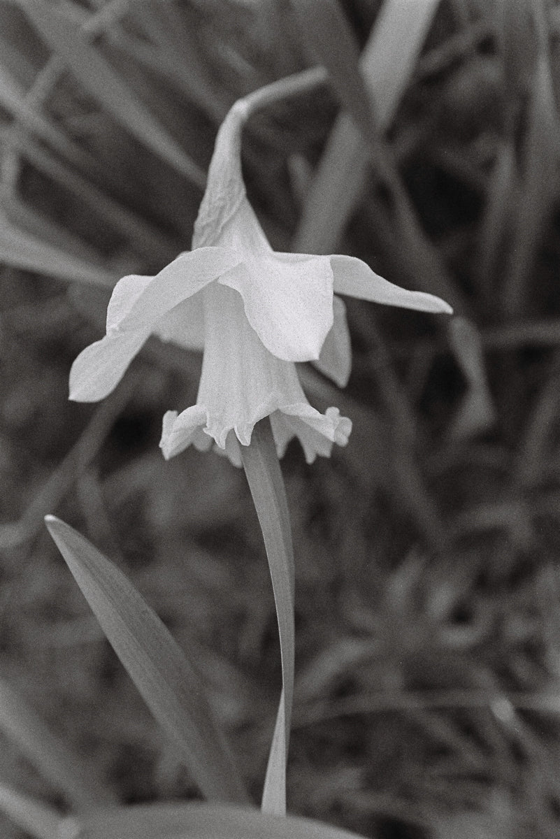 Touch Has A Memory #12