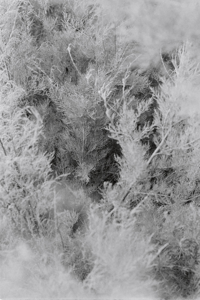 Touch has a memory #2